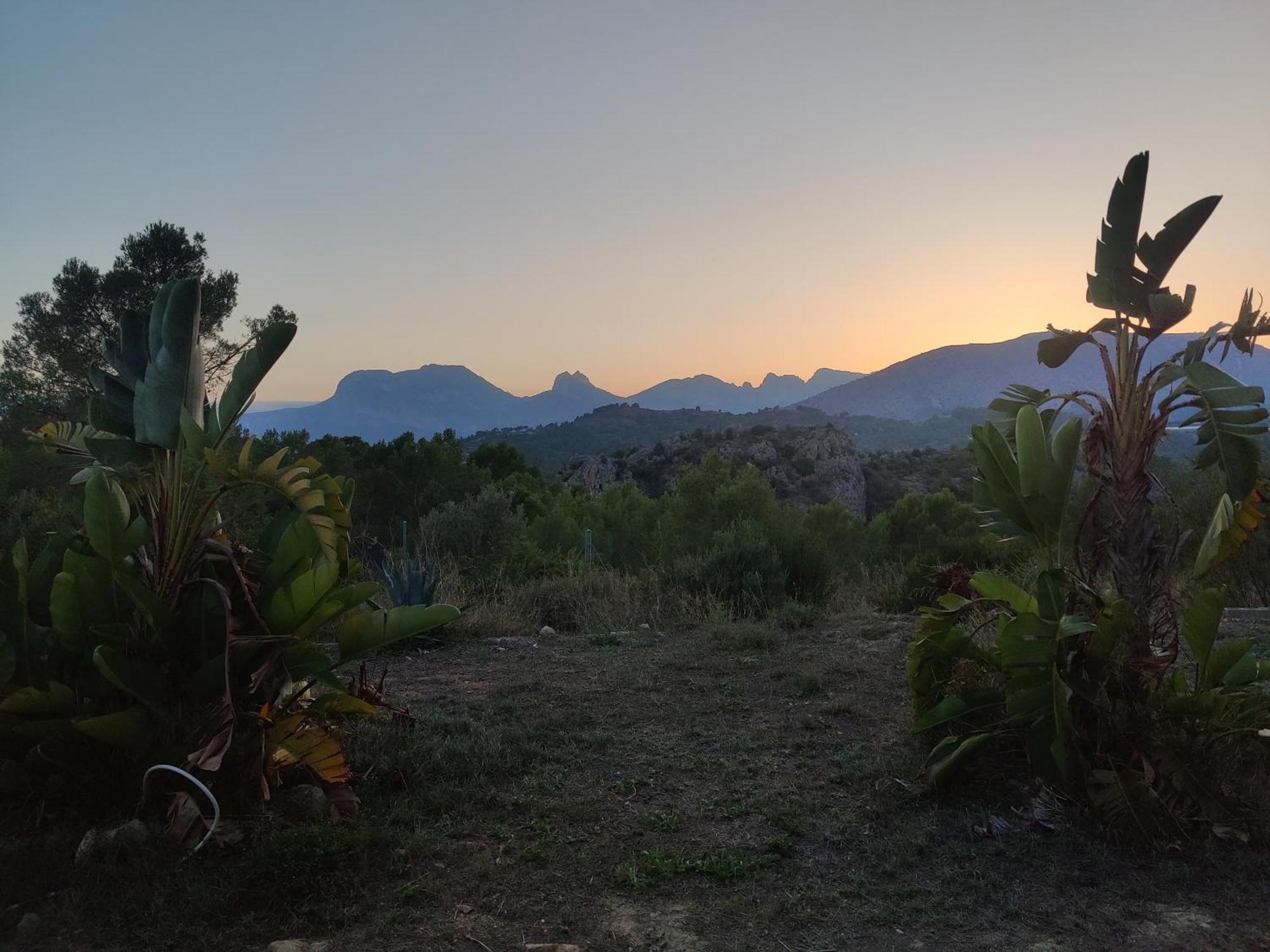 Finca Caracol Bolulla Екстер'єр фото