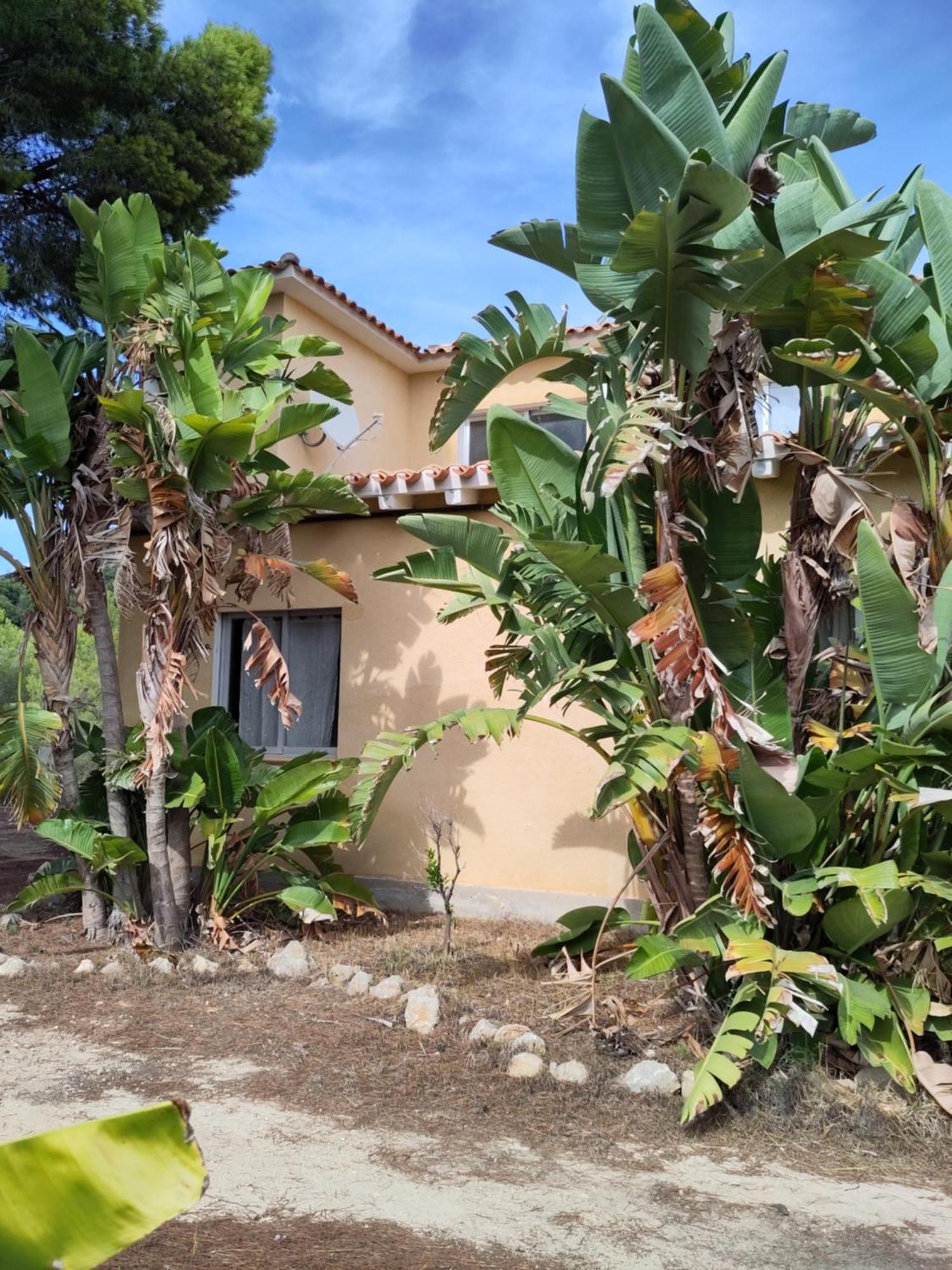 Finca Caracol Bolulla Екстер'єр фото